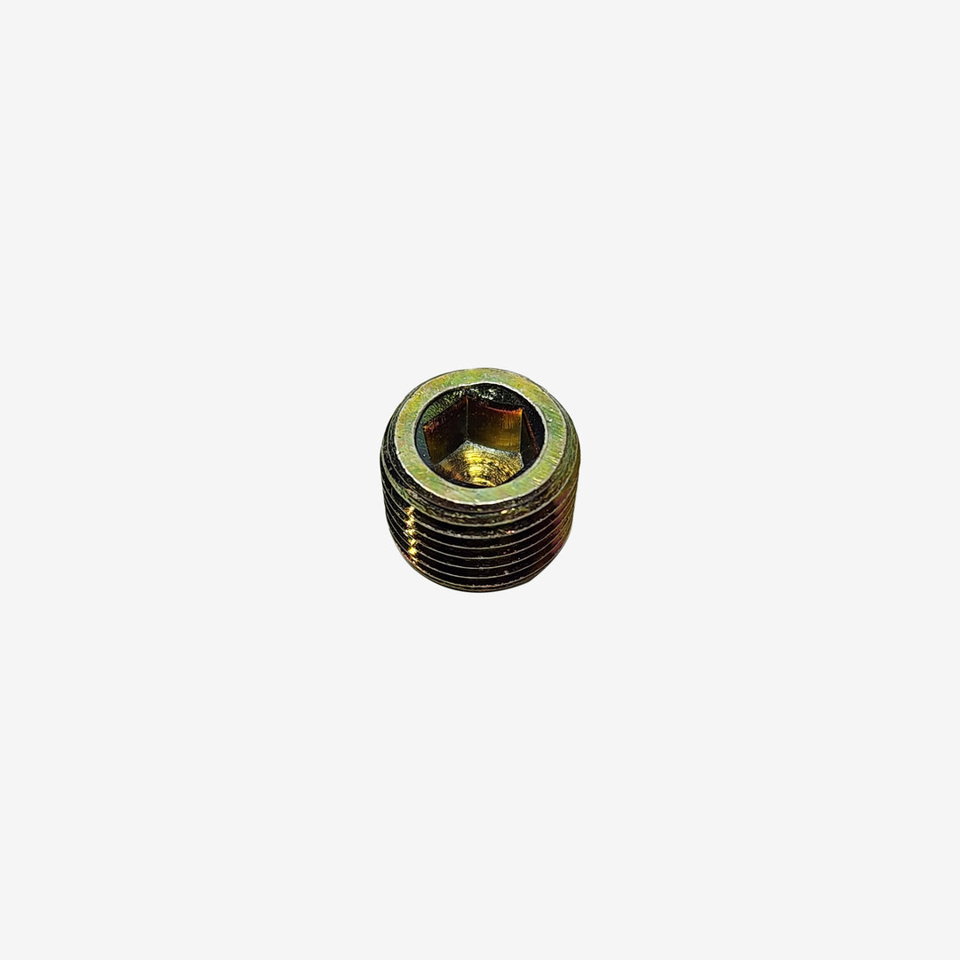Plug Screw 1/8