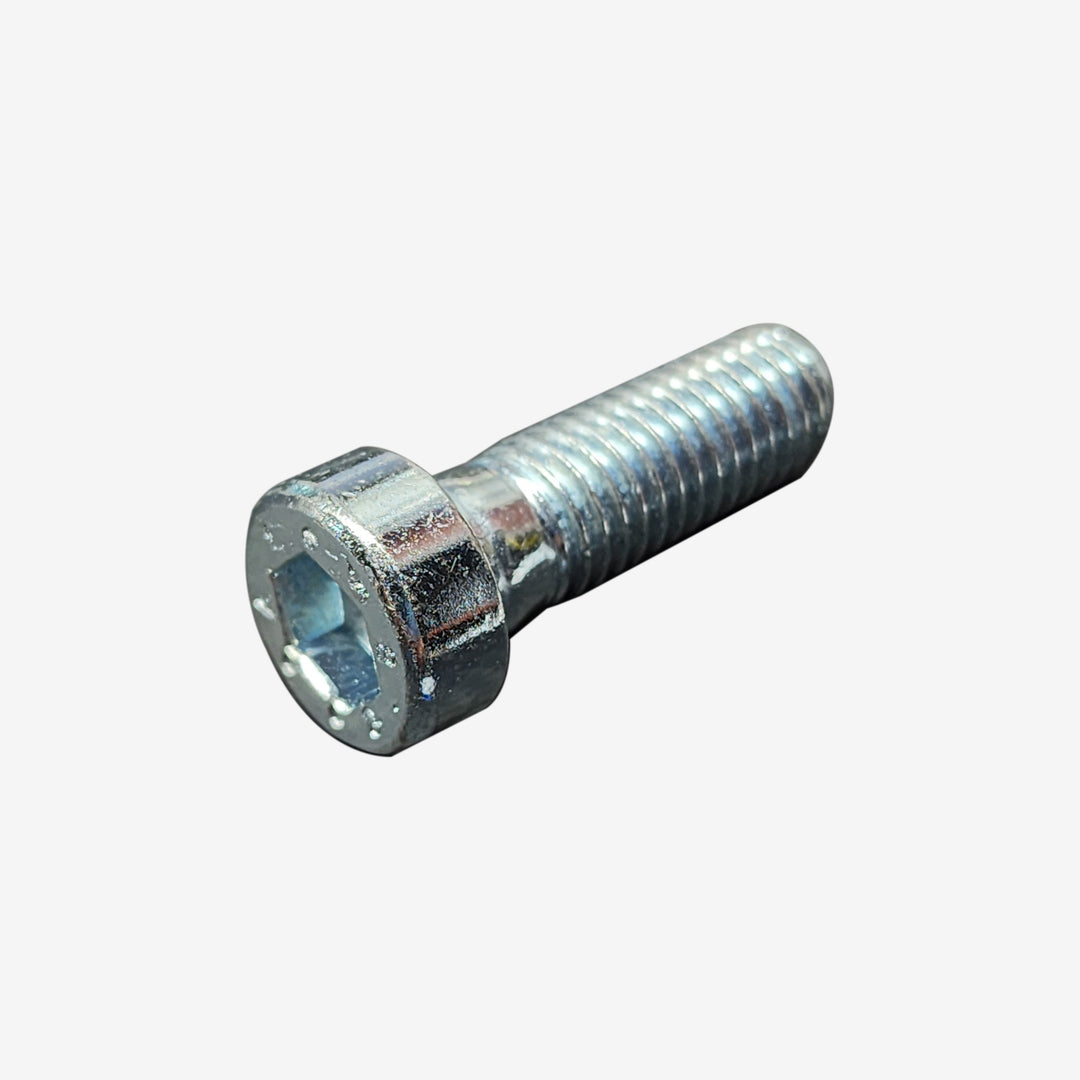M10x30 Allen Head Screw