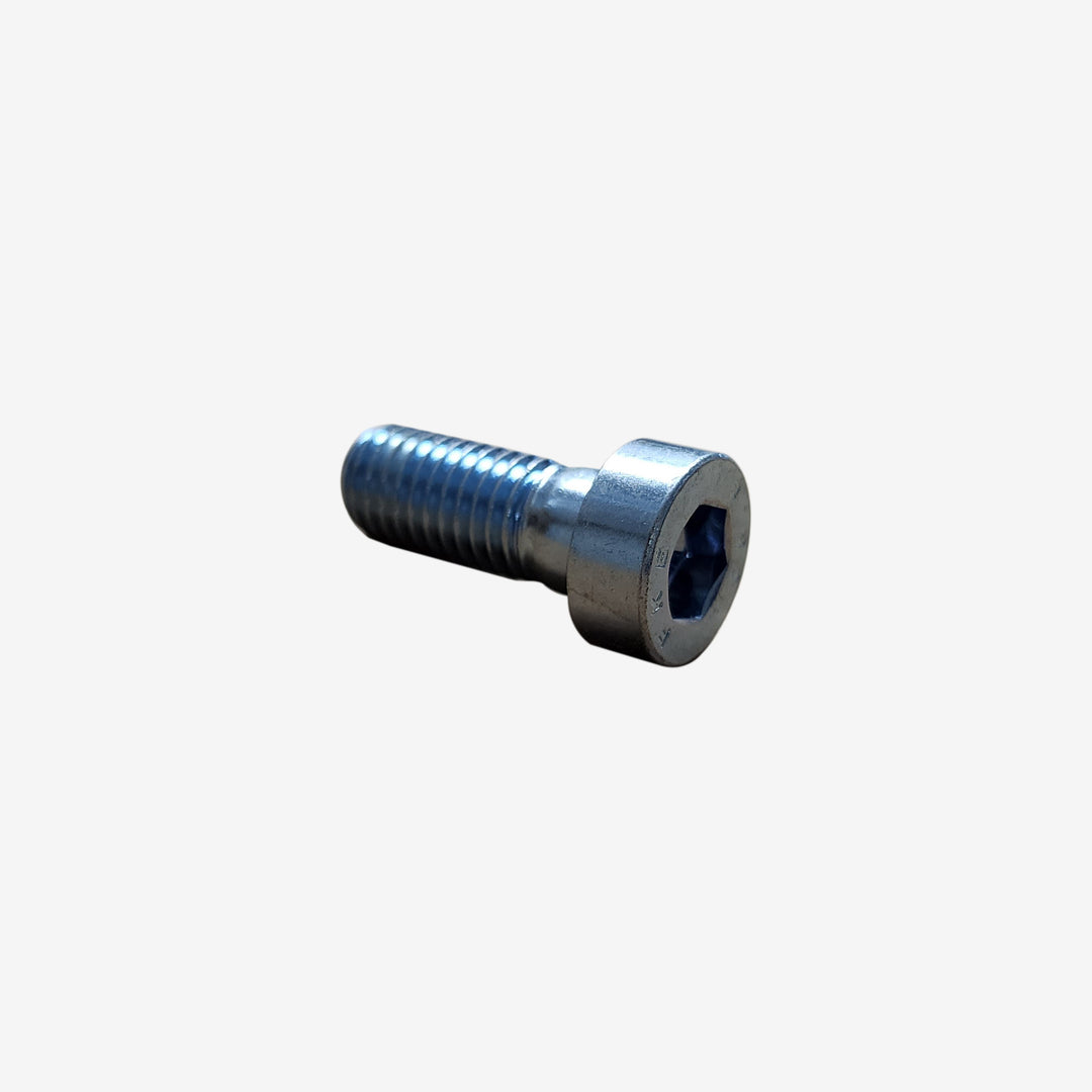 Allen Head Screw 10x25
