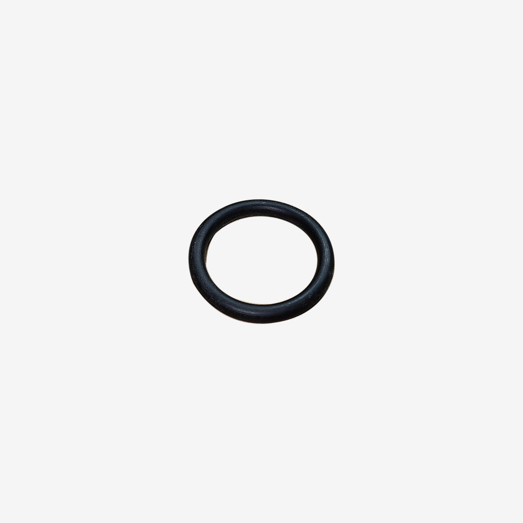 Sealing Ring